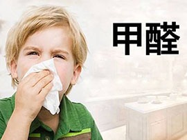 装修除甲醛找哪家公司
