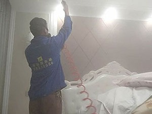 除甲醛公司有用吗