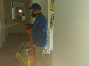 甲醛治理到底有没有用